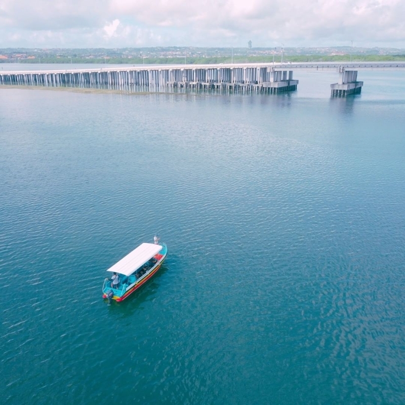 Bali Snorkeling and Mangrove Cruise by Glass Bottom Boat 4