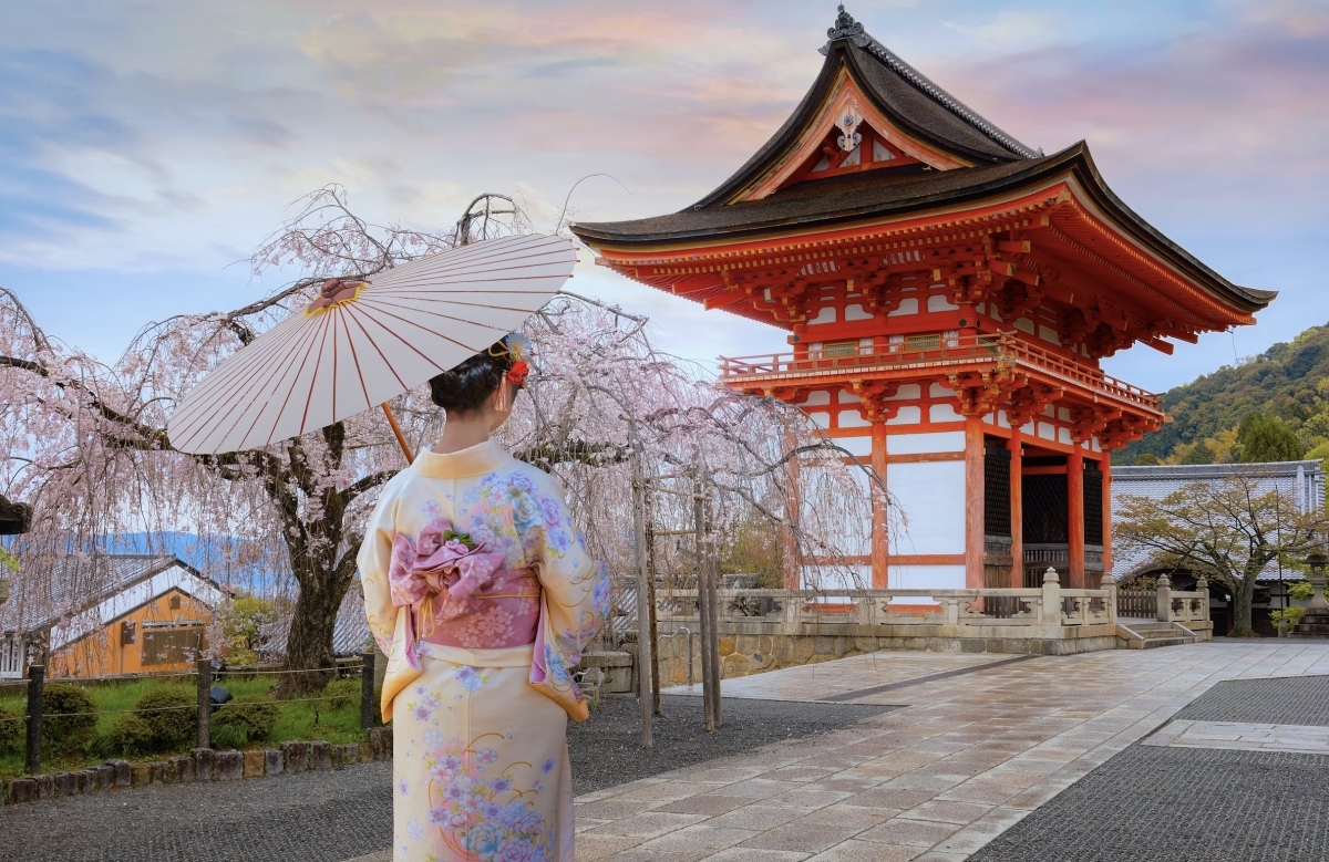 Japan Tour With Kyoto, Osaka, Hakone, Nara, Hiroshima and Miyajima 1