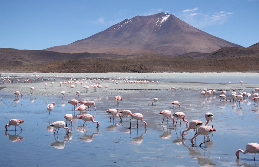 10 days discover Bolivia from Santa Cruz 3