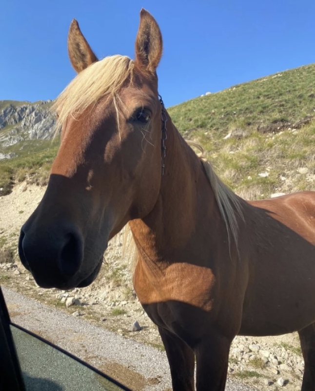 Durmitor, Black Lake & Tara Canyon Adventure 3
