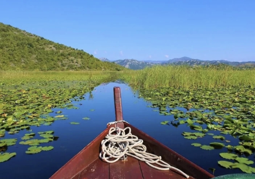 Fascinating Lake Skadar 2