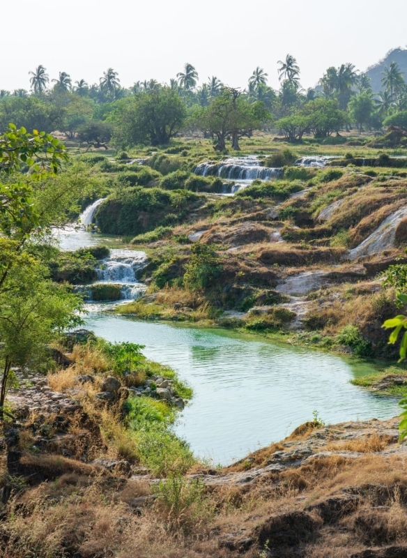 Salalah Exploration 2