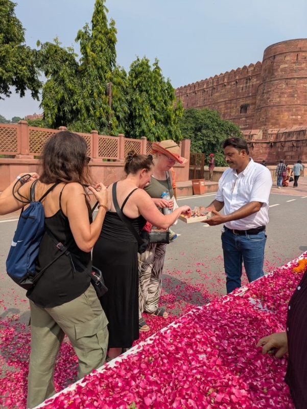 Affordable Taj Mahal Sunrise Tour from Delhi by Car – Book Now 3