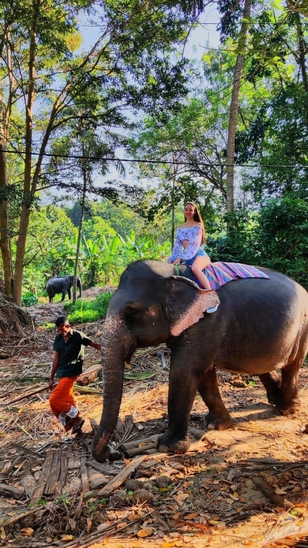 Wildlife and Nature Tour-18Days 1