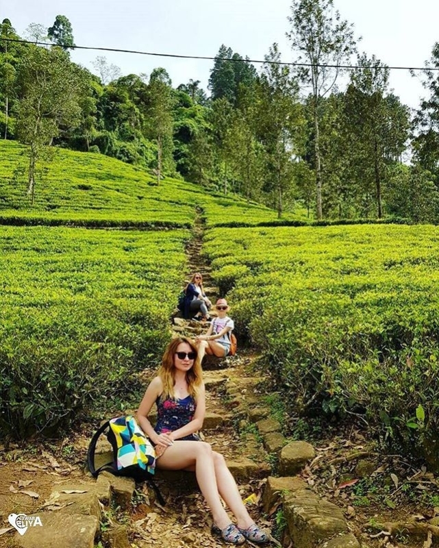 Wildlife and Nature Tour-18Days 3