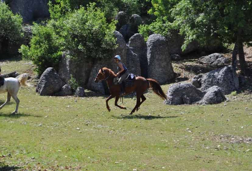 Horse Riding At the Golden Sandy Beach of Antalya 3