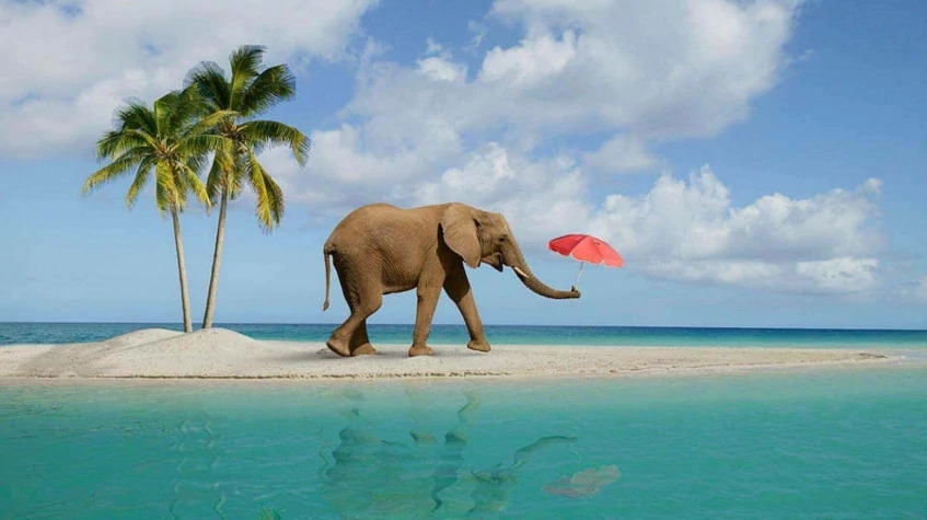 6 Days Magical Andaman Tour 1