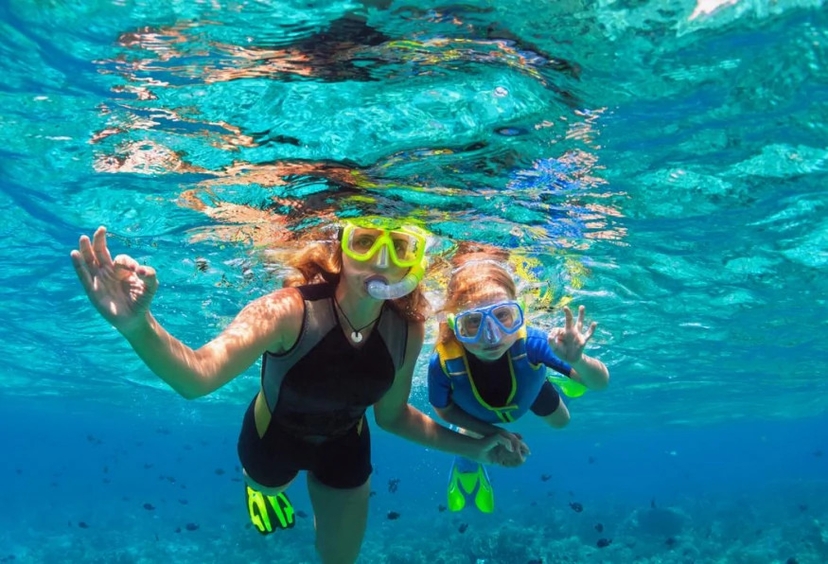 Daily Marmaris Swim With Dolphins 2