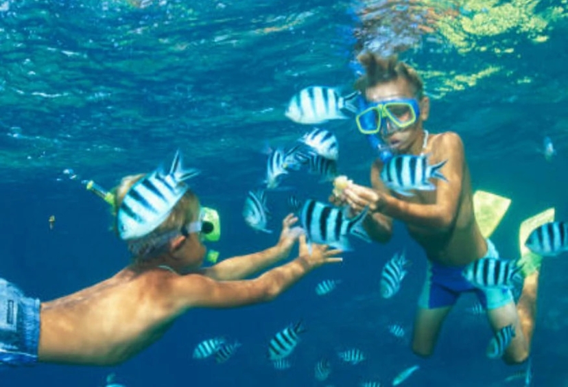Daily Marmaris Swim With Dolphins 4