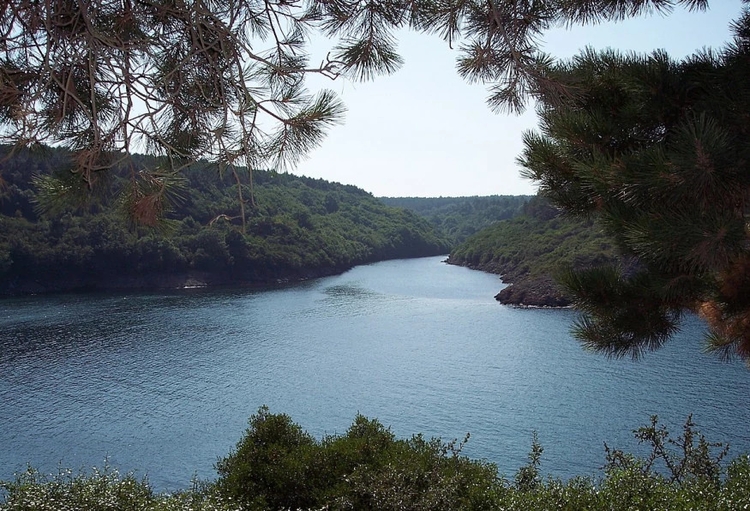 Daily Sinop Nature Tour