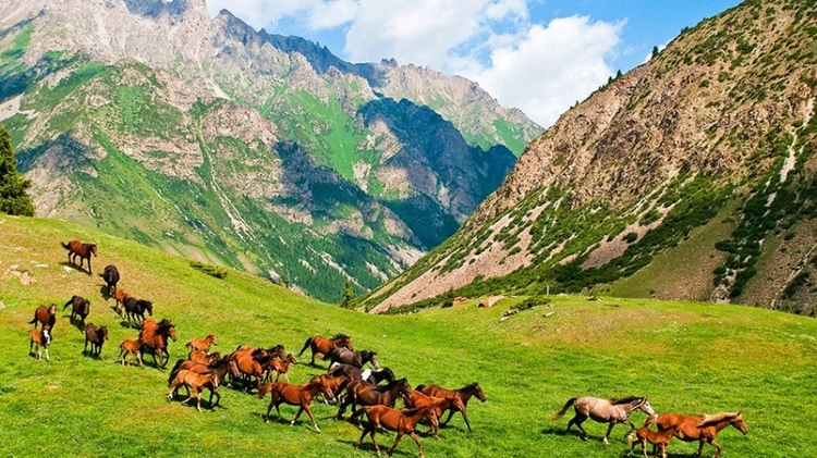 Wild Nature and Nomadic Life On Horseback