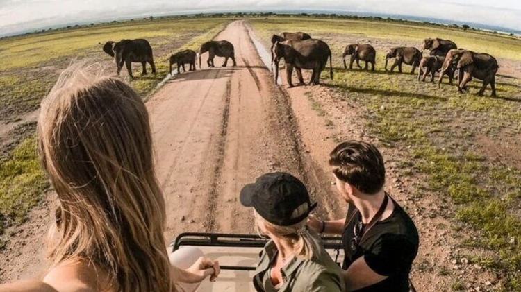 Tanzania Big 5 Safari