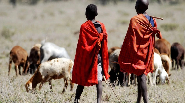 3 Days Maasai Mara Inscreible Safari
