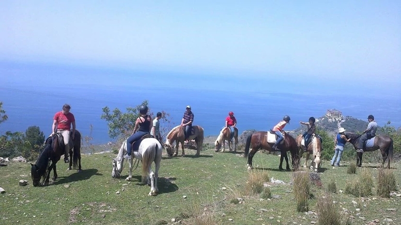 Daily Horse Riding Tour Departing from Alanya 3