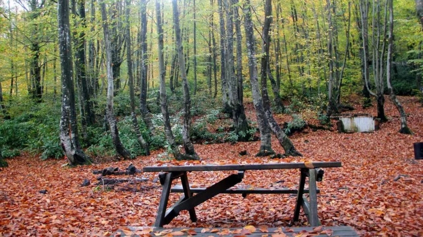 Zonguldak Trekking Tour Turkey 2