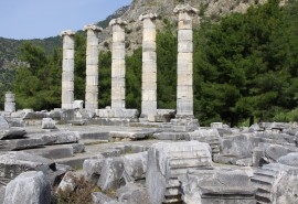 Priene, Miletus, Didyma