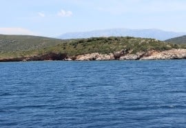 Mercan Island