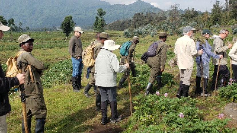 2 Days Mountain Gorilla Safari Rwanda & Kigali City Historical Tour 2