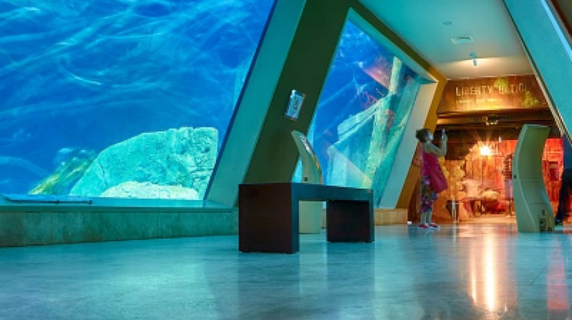 Entry Ticket Sea Life Istanbul 2