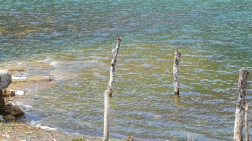 Tour to Wonchi Crater Lake 4