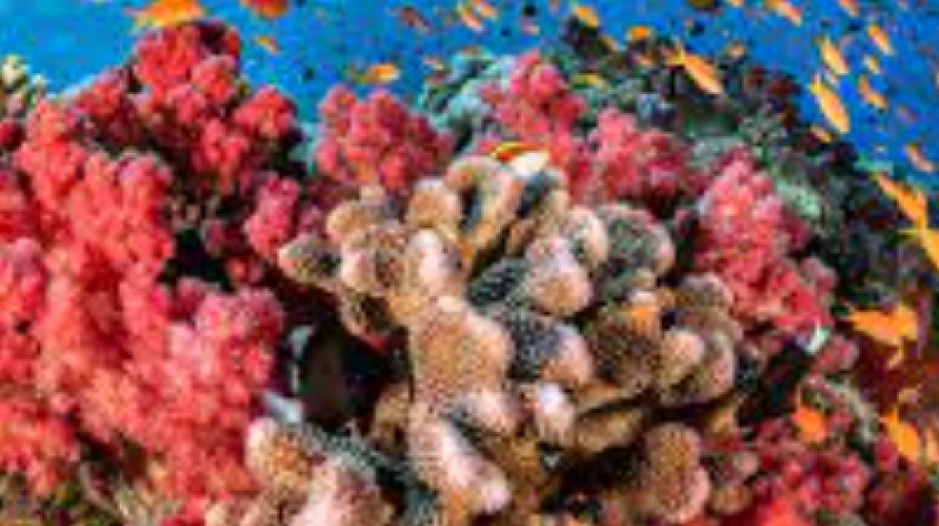 7 Days Trip to Luxor & Hurghada 1