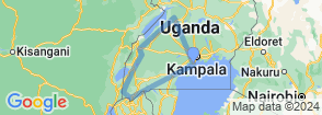 11 Days Uganda Safaris