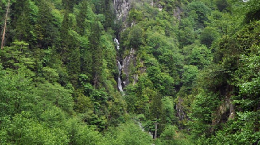 Ayder Tour With Fırtına Valley Adventure 8