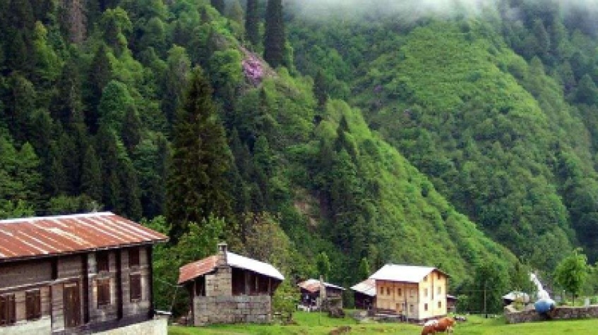 Ayder Tour With Fırtına Valley Adventure 9
