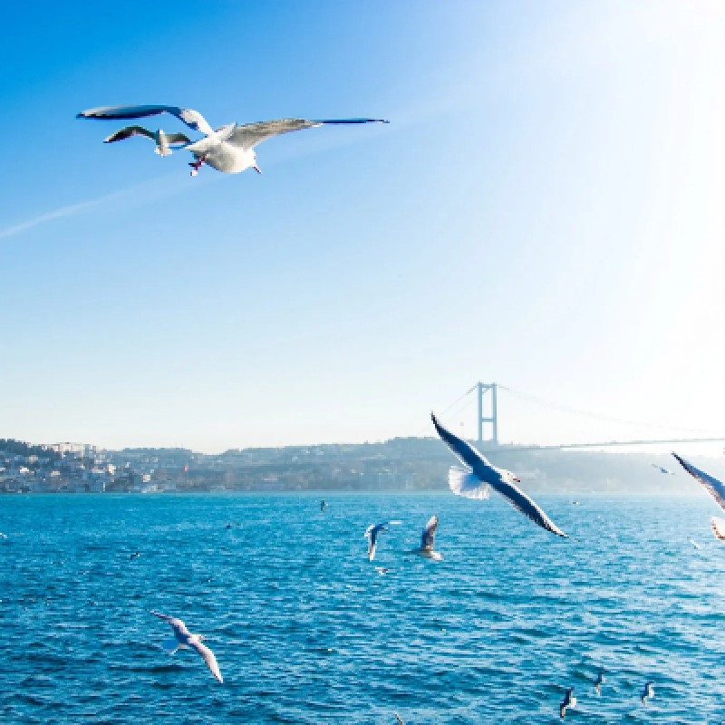Deal Istanbul Bosphorus Sightseeing Cruises and Tour 3