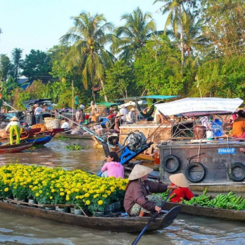 Vietnam in Depth (20 Days - 19 Nights) 8