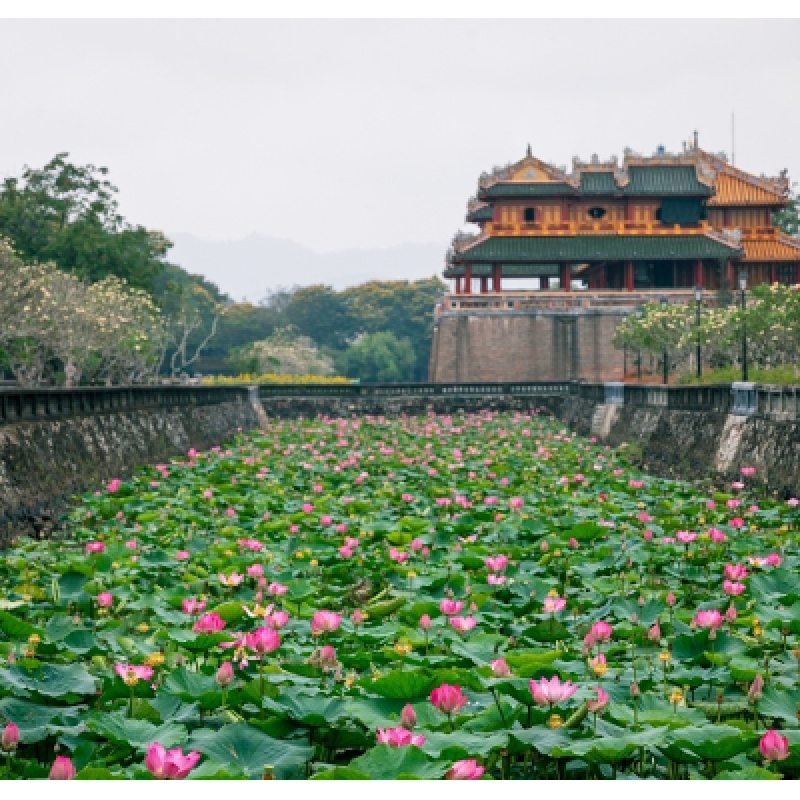Best of Vietnam (15 Days - 14 Nights) 5