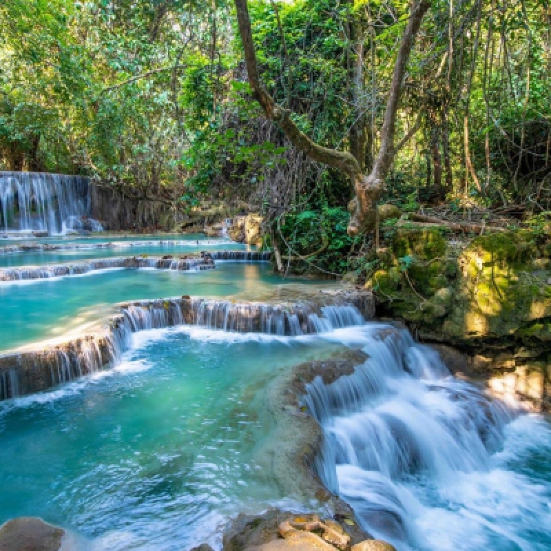 Jewel of Indochina (13 Days - 12 Nights) 6
