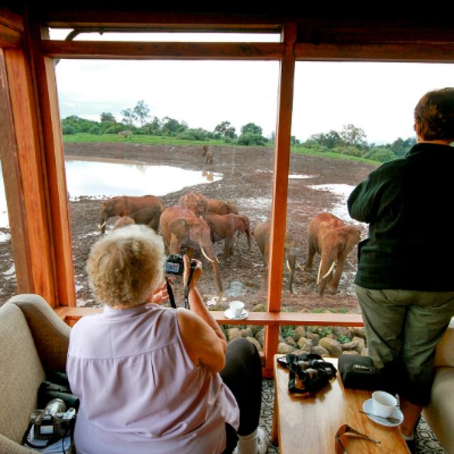 Scenic Kenya Simba Safari