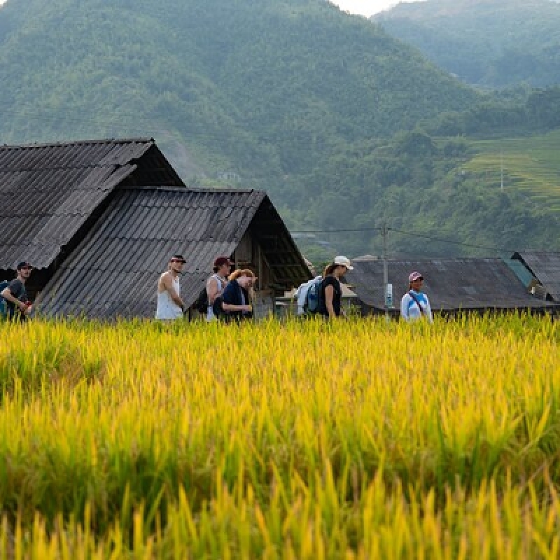 Sapa 2 Days 1 Night From Hanoi - Overnight in Ta Van Village 4