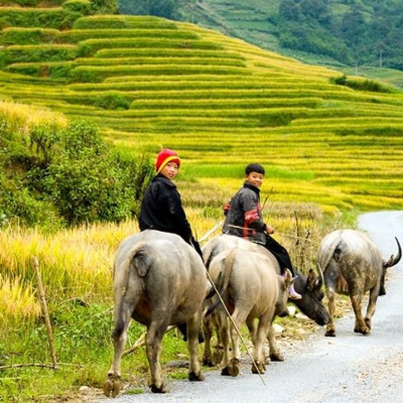 Sapa 2 Days 1 Night From Hanoi - Overnight in Ta Van Village 5