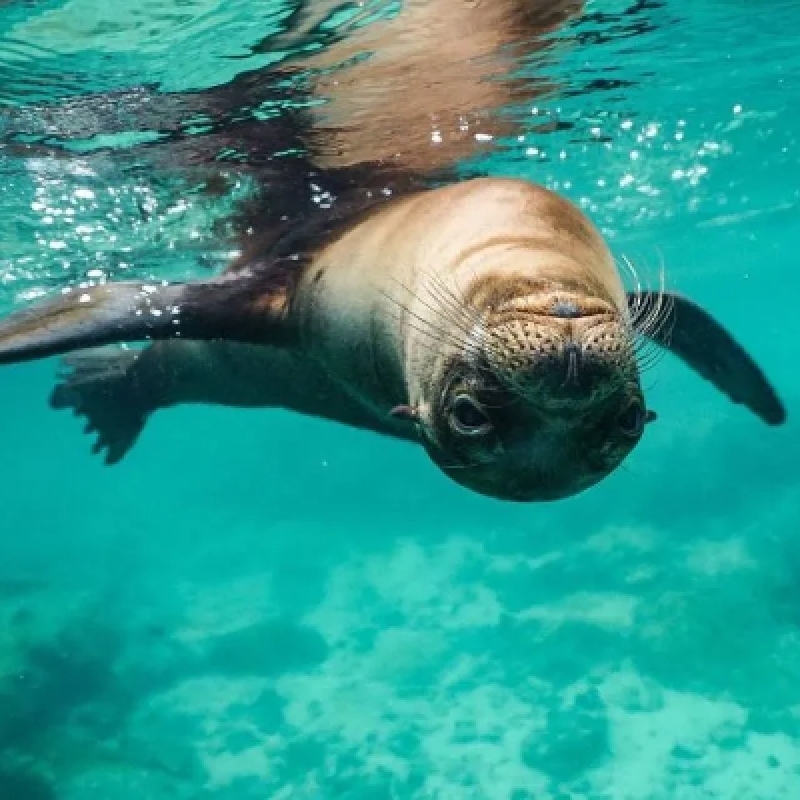 5 Days Galapagos Expedition Tour 3