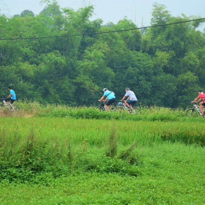 HALF DAY MORNING HANOI CITY BICYCLE TOUR 4