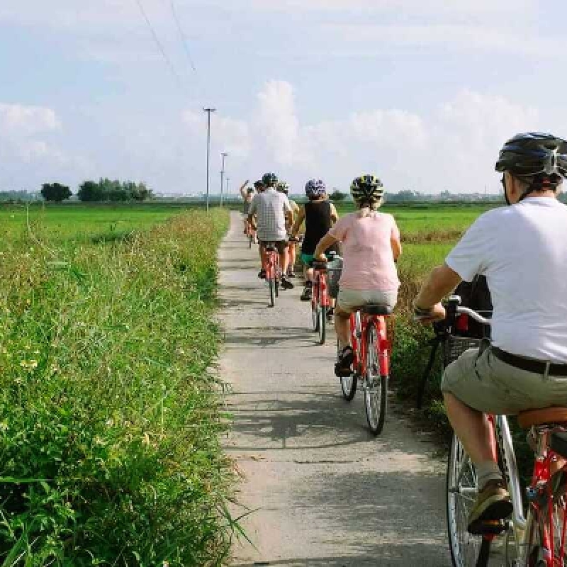Tra Que Village Afternoon Cooking Farming Tour with Bike Ride in Hoi An 3