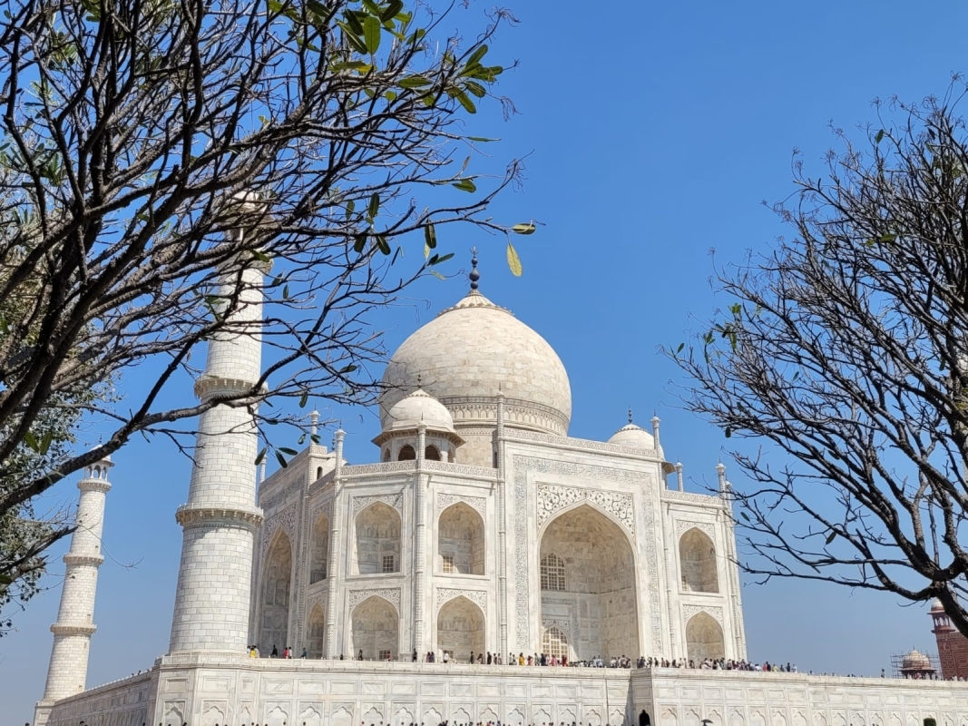 From Delhi: Taj Mahal Sunrise and Agra Fort Private Tour 5