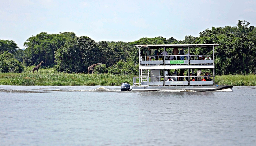 12-Day Budget Trip: Gorillas, Chimps Trekking and Wildlife Safaris 4