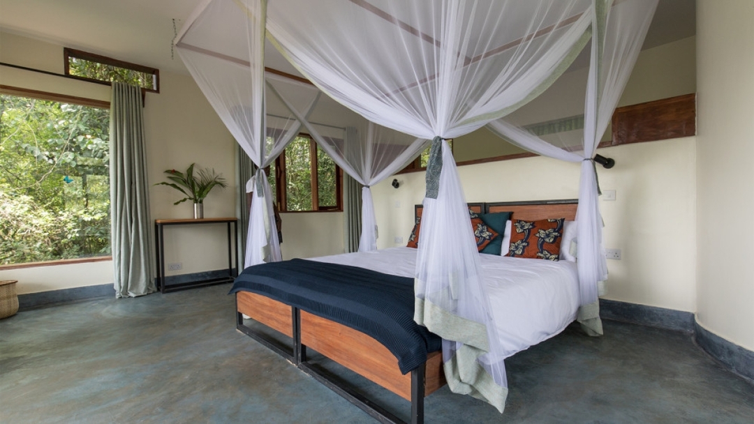 12-Day Budget Trip: Gorillas, Chimps Trekking and Wildlife Safaris 8