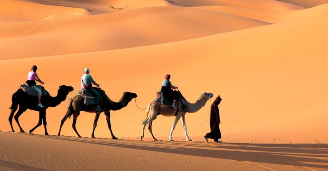 Egypt: 8 Days Sharm El Sheikh Wonder Package 9
