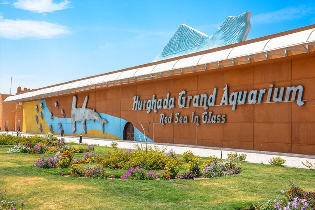 Egypt: 5-Hour Private Hurghada City Exploration 6