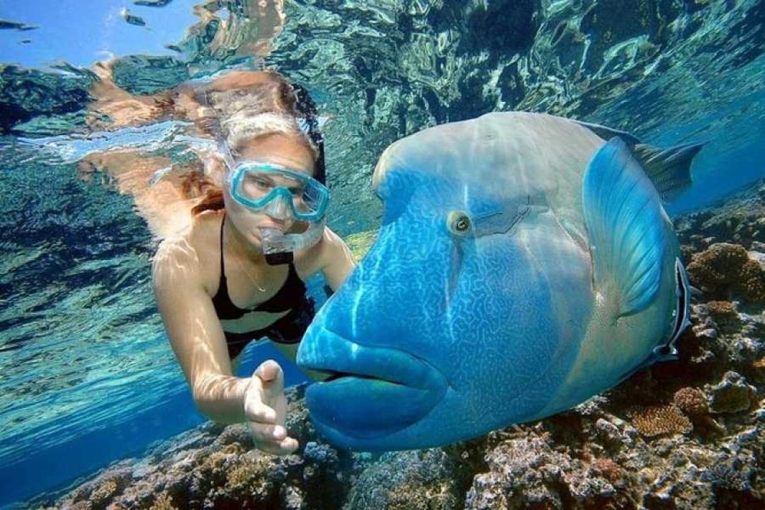 Egypt: 7-Hour Scenic Hurghada Boat Trip with Snorkeling and Lunch 1