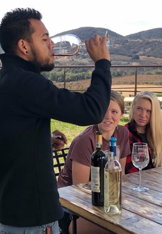 Wine Route Tour - Guadalupe Valley 6