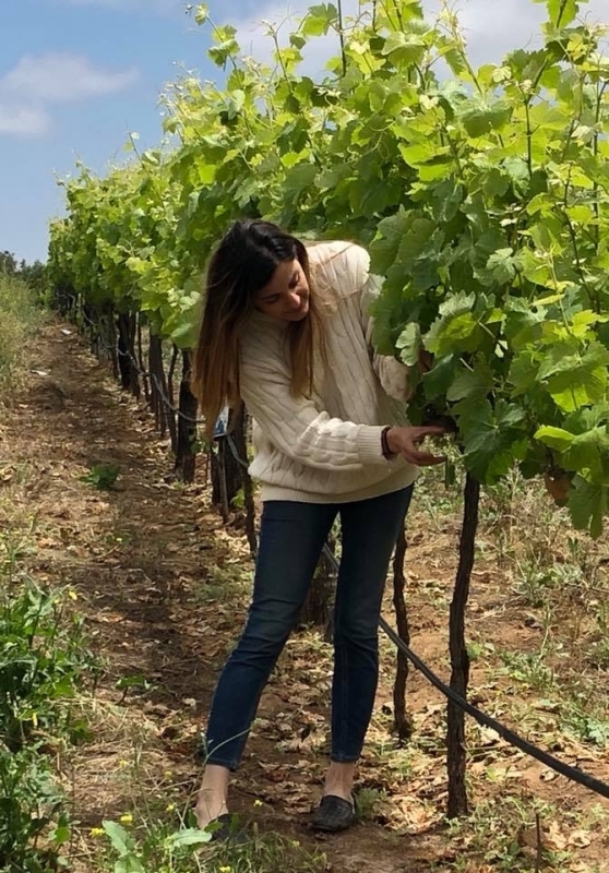 Wine Route Tour - Guadalupe Valley 7