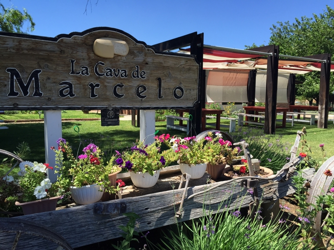 Cheese & Wine Route Tour – Ojos Negros Valley 1