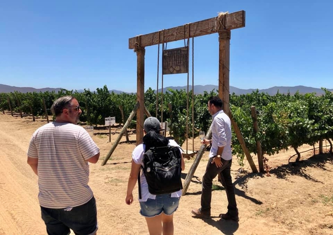 Cheese & Wine Route Tour – Ojos Negros Valley 6