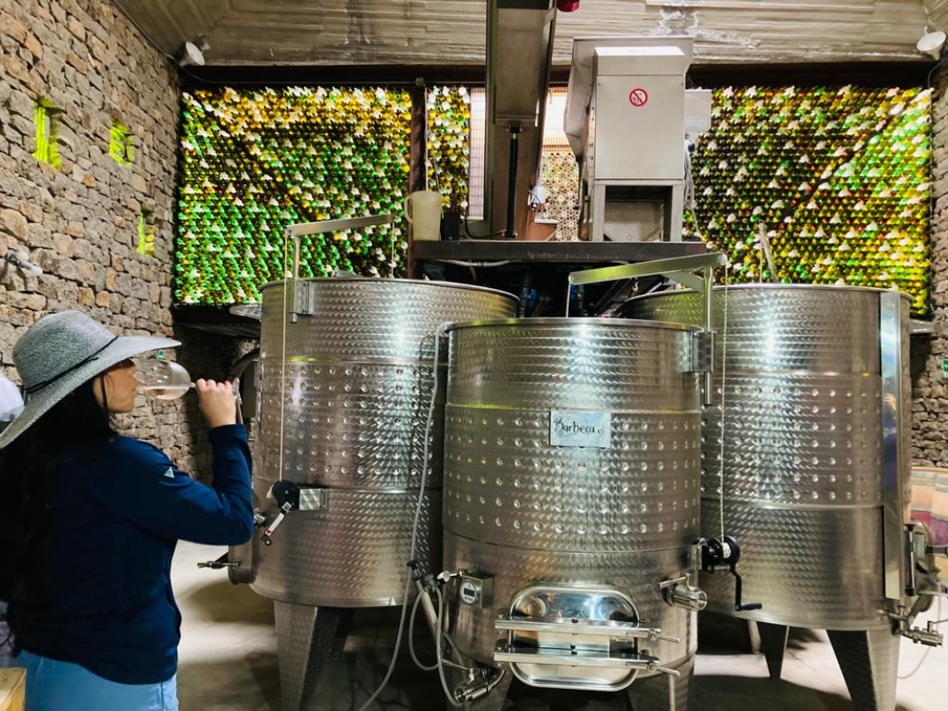 Wine Tasting Tour Exclusive For Cruise Ship Visitors 8