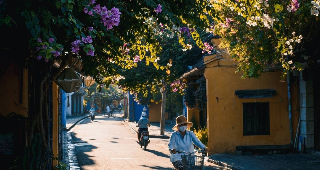 Vietnam Grand Discovery: 10 Days from South to North 7